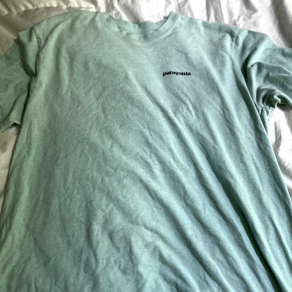 Patagonia mens t shirt